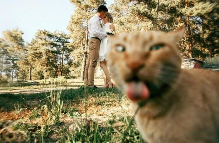 Romance Is so Overrated