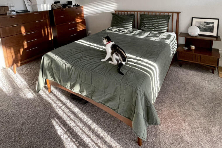 Wall-To-Wall Carpeting in Bedrooms