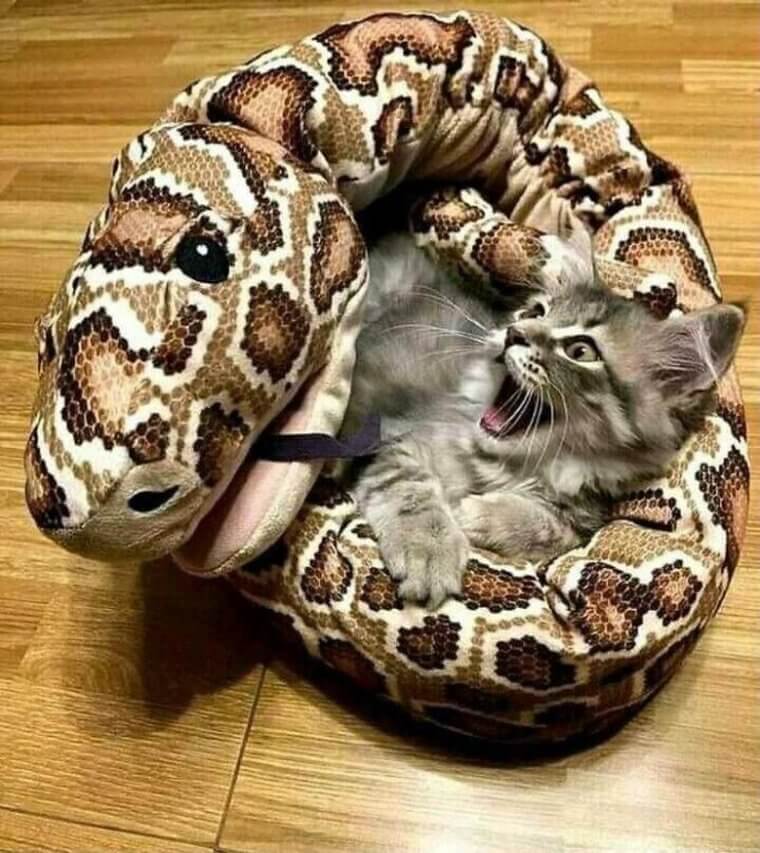 We Wish We Had the Level of Self-Confidence