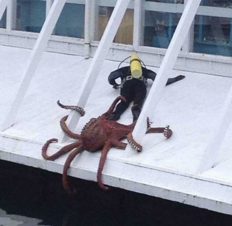 Cthulhu Is Not Playing Around