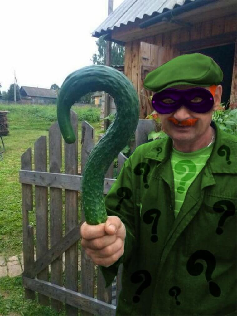 Nice to See the Riddler Is Taking a Vacation in the Emerald Isle