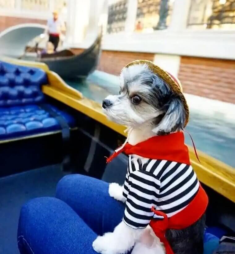 Little Italy in Las Vegas