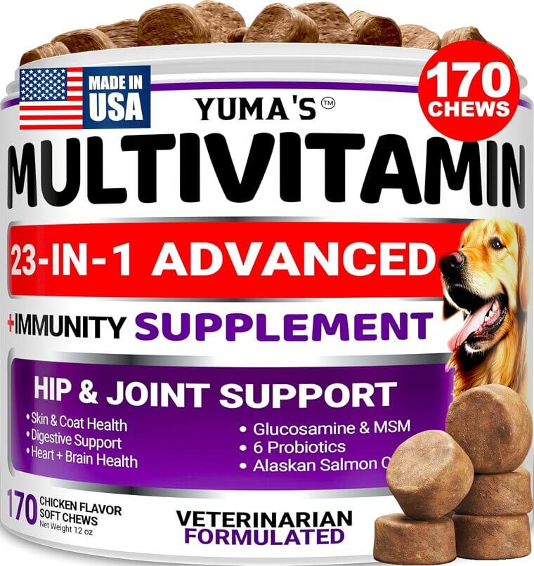Dog Multivitamin Chews - Ultimate Health Boost for Your Pup - Now 17% Off!