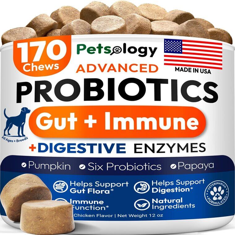Dog Probiotics Chews - Gut Health, Itchy Skin & Allergy Relief - 10% Off!