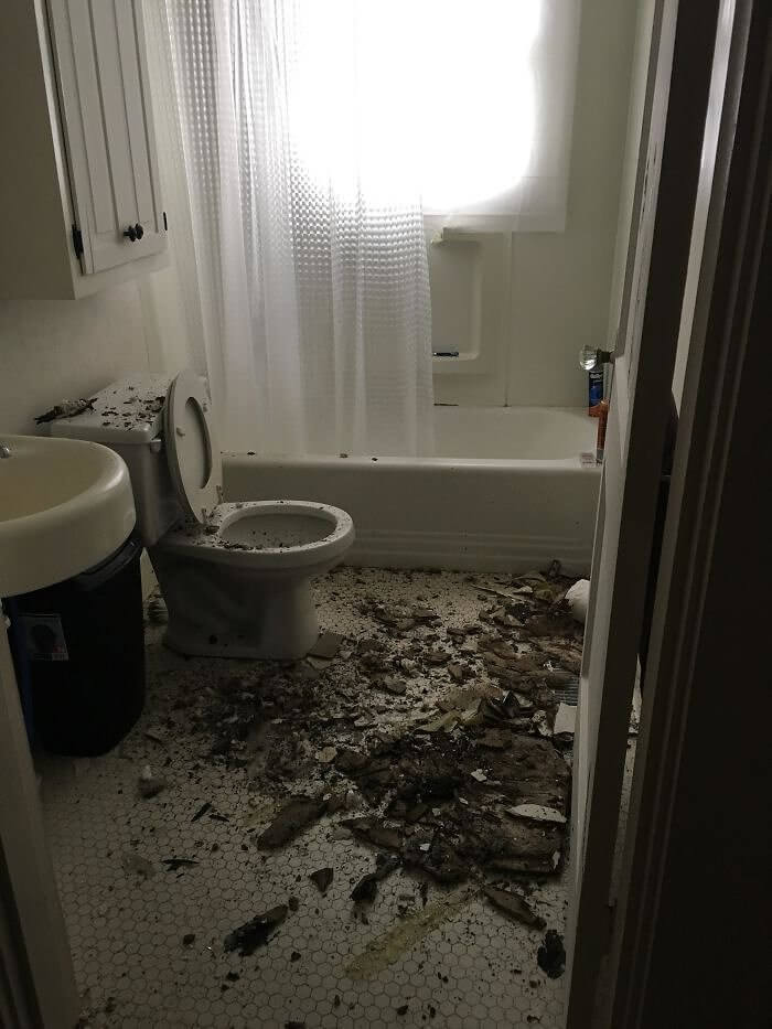 The Classic Bathroom Explosion, From The Ceiling This Time