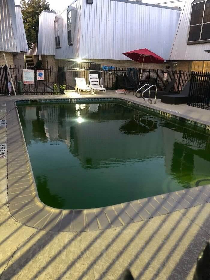 Who Wants To Go Swimming?