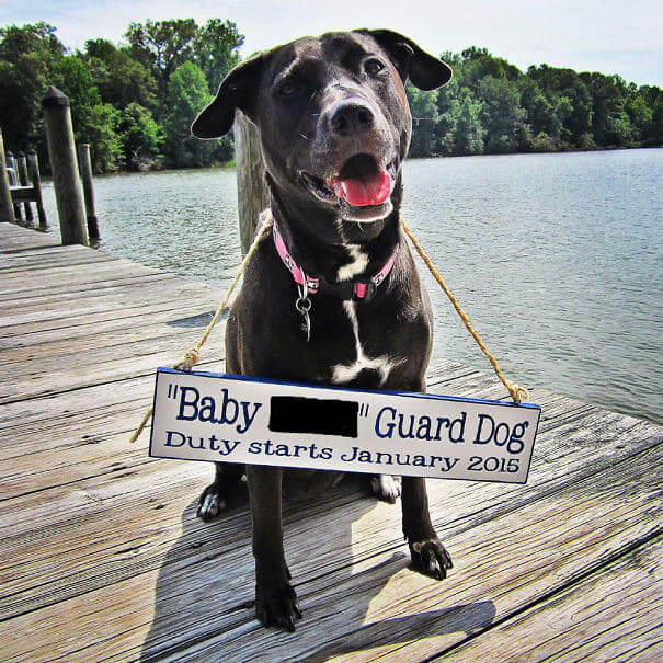 Life is About To Getting A Little Rough