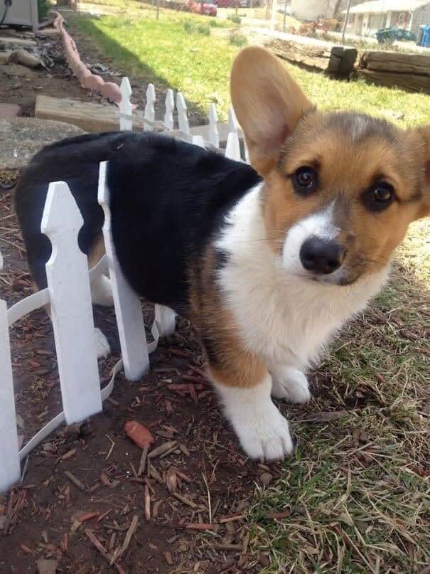 May Or May Not Be Stuck