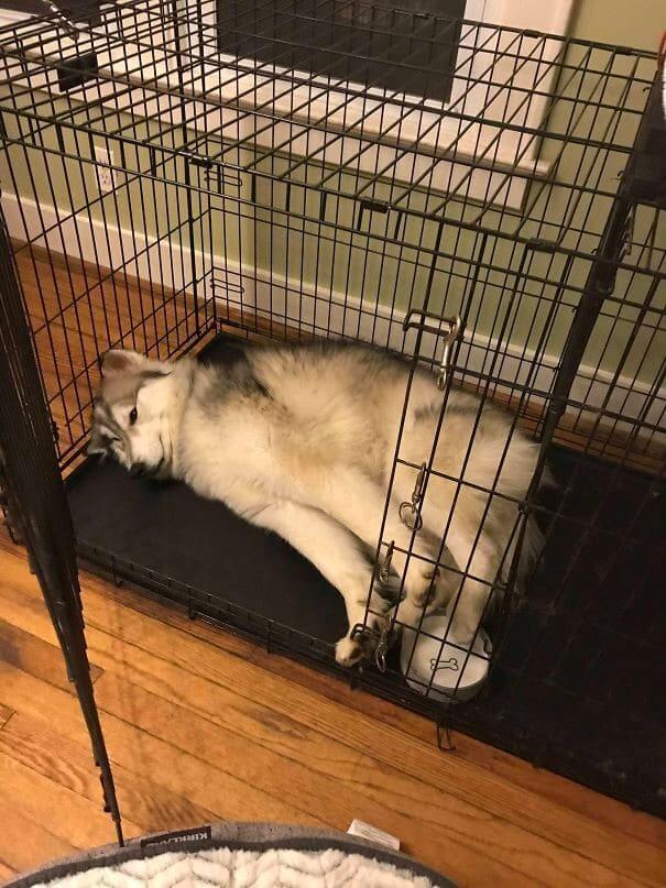 That Does Not Look Comfortable