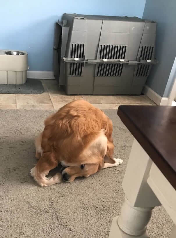 "I Finally Caught It!!!"