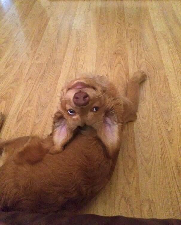 "Oh, Hello There"