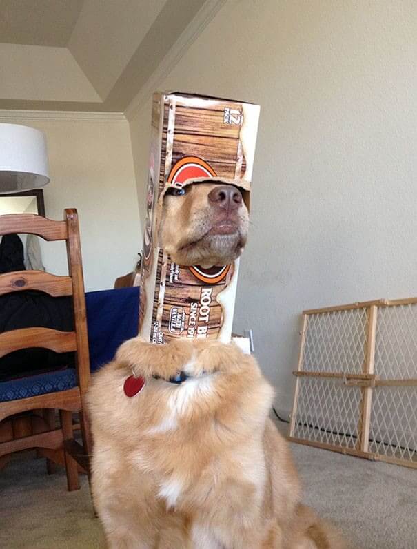 Root Beer Helmet