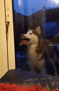 "Is This How I Open The Door?"