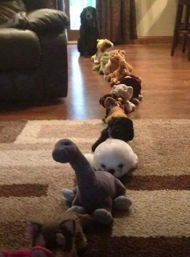 "Why Isn't The Line Moving?"