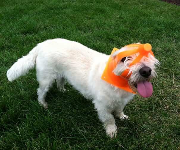 New Head Gear