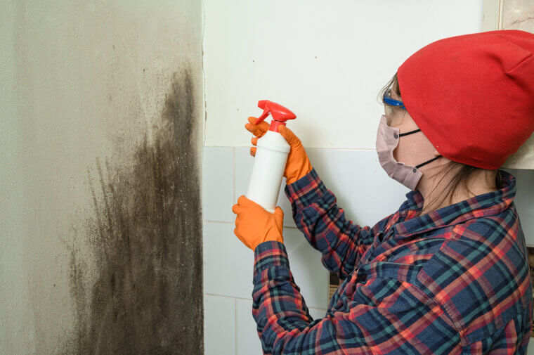 Black Mold Remediation