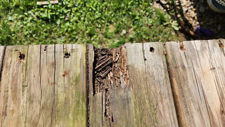 Replacing Damaged Decking Boards With Proper Fasteners