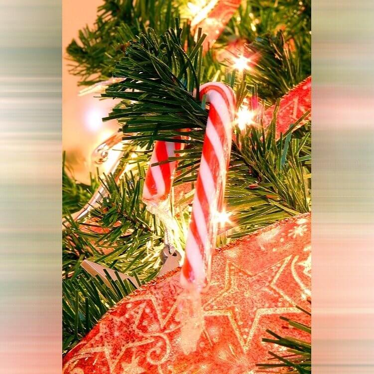 Putting Candy Canes On the Christmas Tree