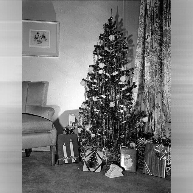 Choosing and Chopping Down Your Own Tree