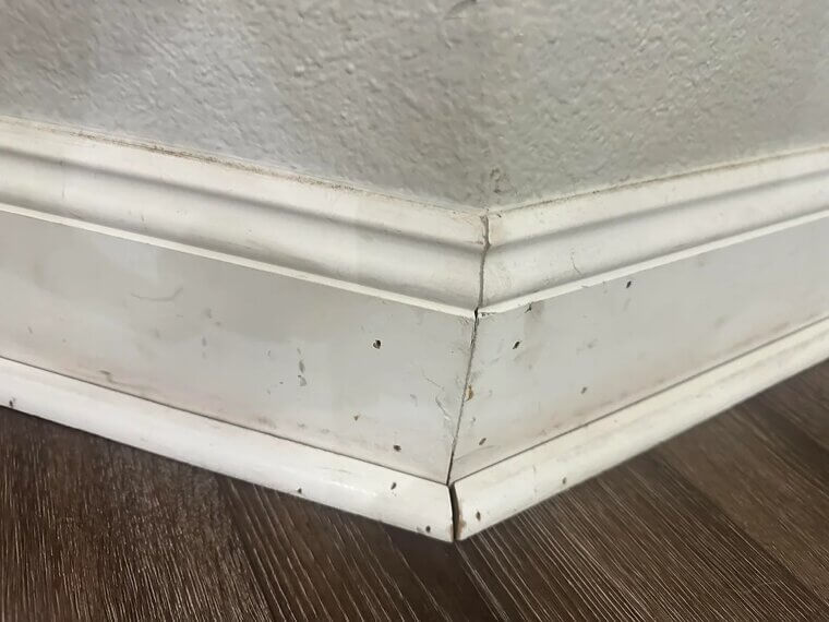 Examine Baseboards