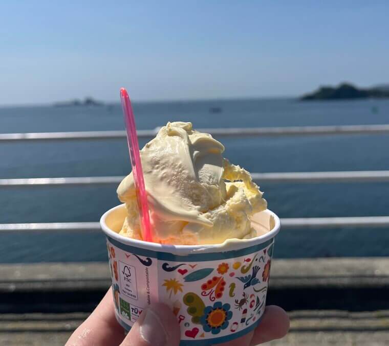 G. Nutt Vanilla Ice Cream