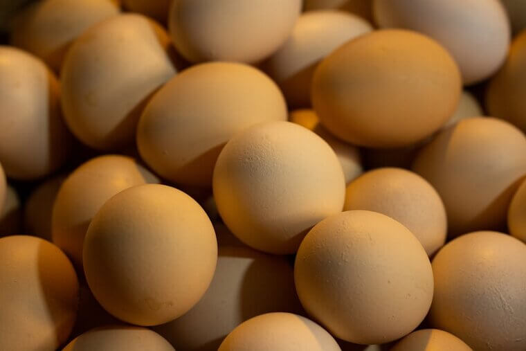 Country Eggs, NIJIYA, GOLDEN YOLK Large Brown Cage Free Eggs