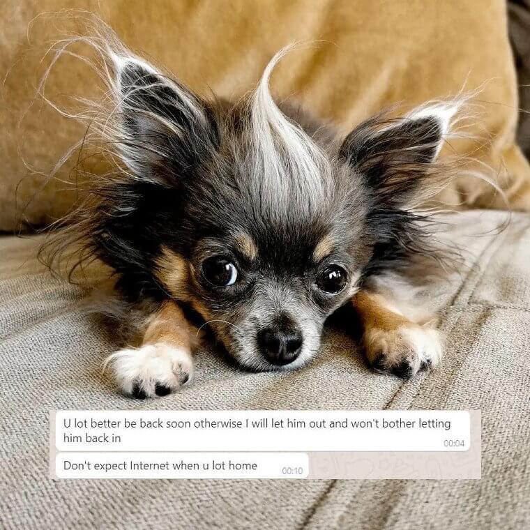 This Is Beyond Cruel