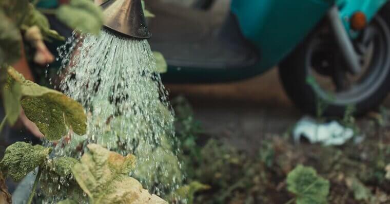 Water Deeply, Not Just Often