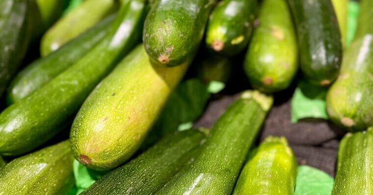 Plant in Succession for Continuous Harvests