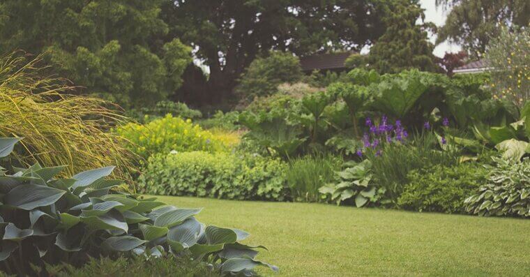 Decide Where To Grow Your Vegetables