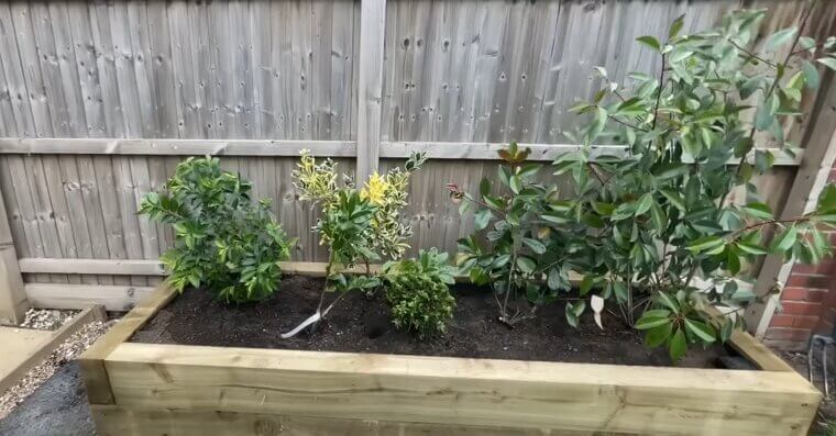 Use Raised Beds for Better Results