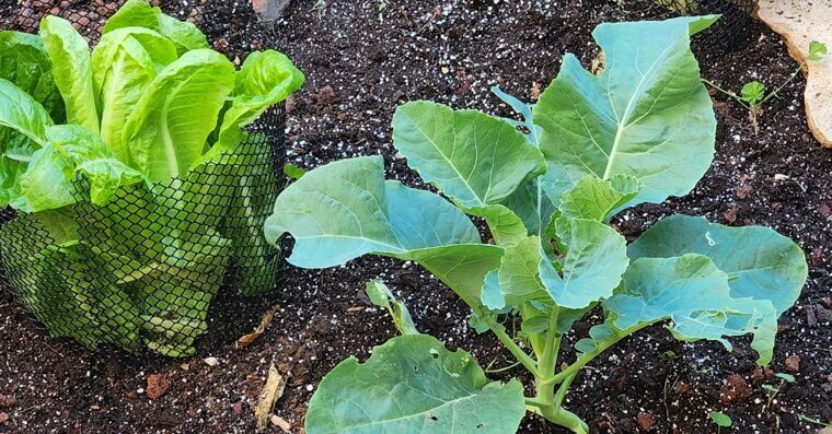 Don’t Forget to Rotate Sun and Shade