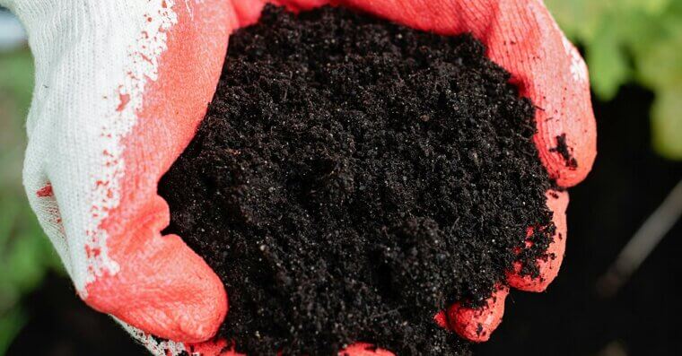 Improve Your Soil With Compost