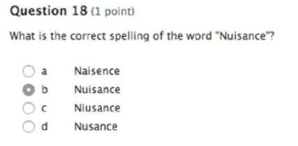 Sometimes the Answer Is Right in Front of You... Literally