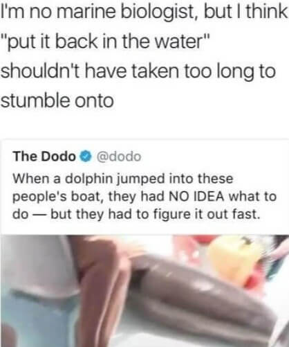 The Not-A-Marine-Biologist Has a Point