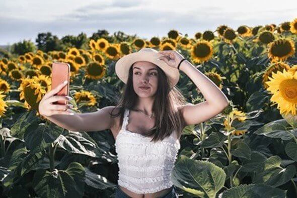 Sunflower Seeds