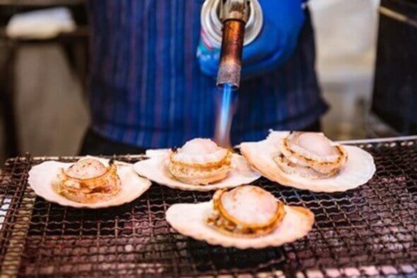 Scallops