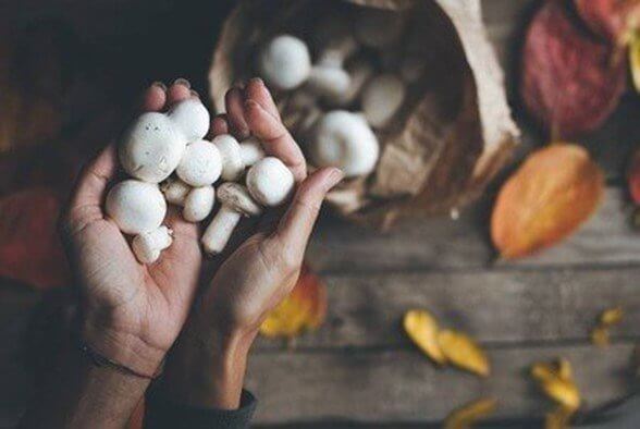 Mushrooms