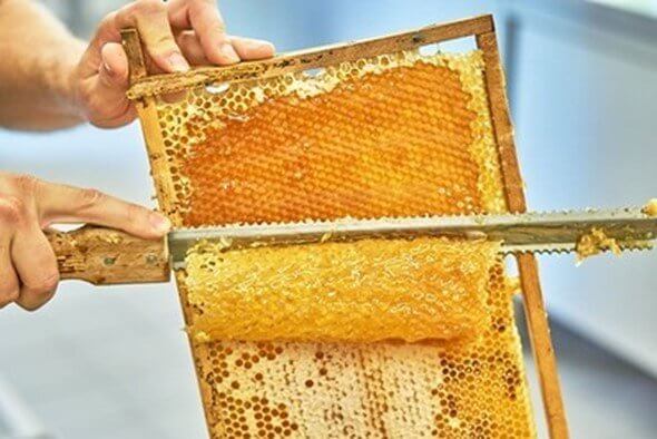 Raw Honey