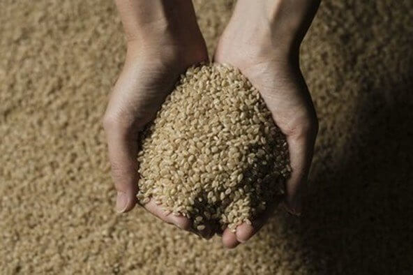 Brown Rice