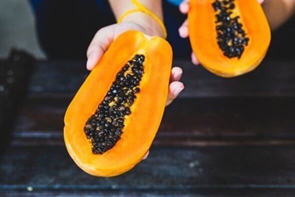 Papaya