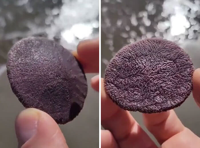 Trillions of Tiny Feet