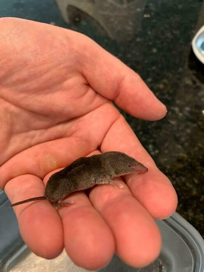 Anyone Know What This Is?