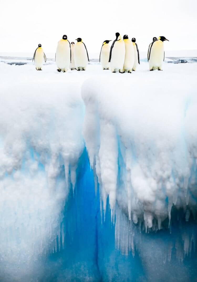 Mind The Gap, Antarctica (Environment Category: Honorable Mention)