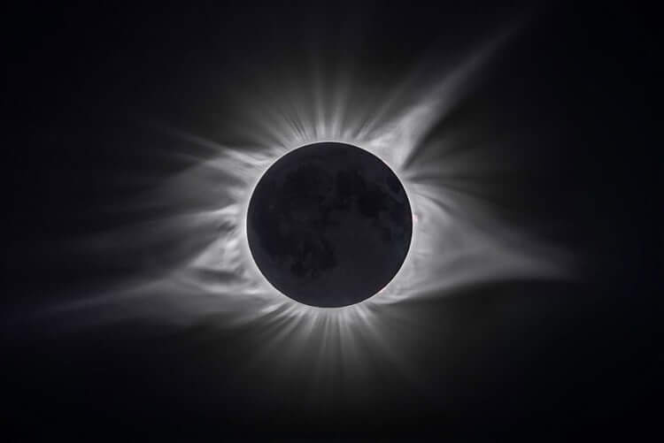 The Great Eclipse, USA (The beauty of the nature Category: Honorable Mention)
