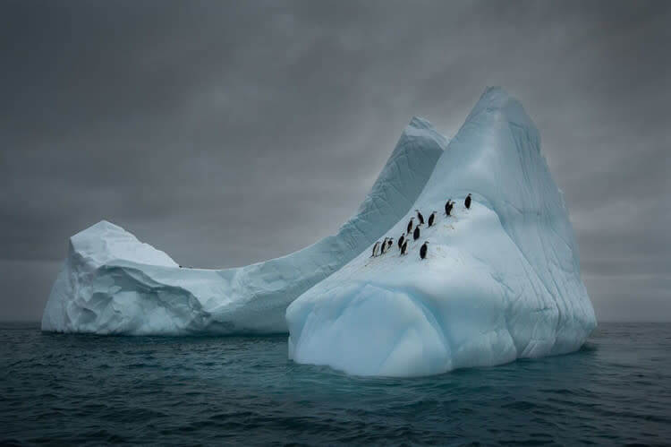 Travelers, Antarctica (The Beauty Of The Nature Category: Third Place)