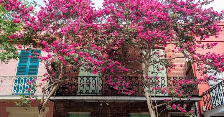 New Orleans, Louisiana (-7.2%)