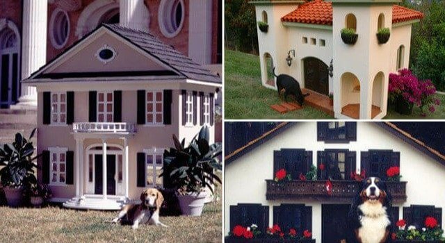 Mansiones de lujo para perros de más de 95.000