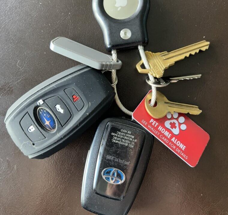 Home-Installed Remote Starters or Alarms