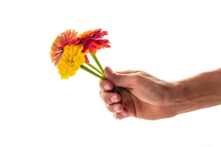 The Odd Flower
